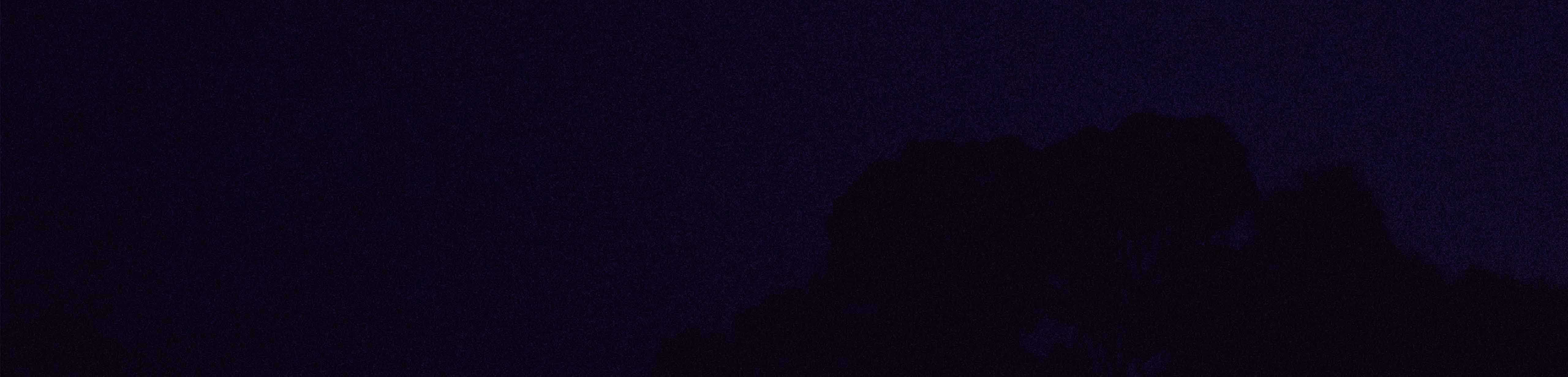 Night sky and trees